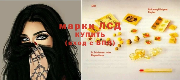 хмурый Абаза