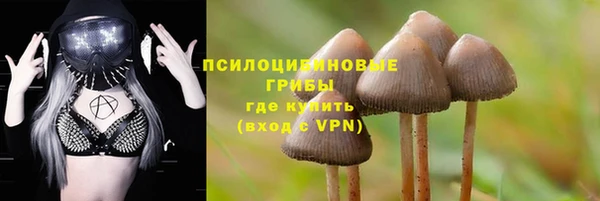 PSILOCYBIN Алексин