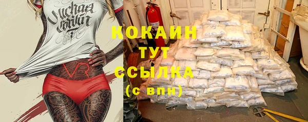 крисы Абдулино