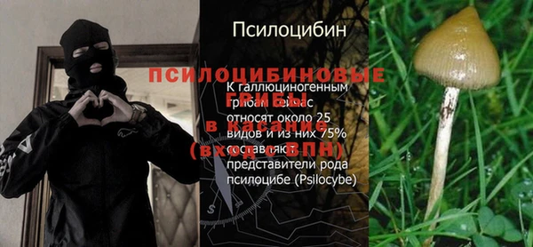 PSILOCYBIN Алексин