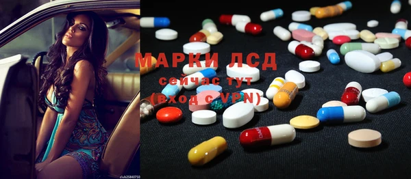 хмурый Абаза