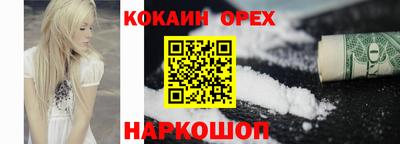 СК Новозыбков