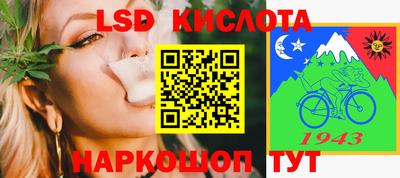 СК Новозыбков