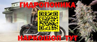 СК Новозыбков