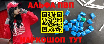 СК Новозыбков