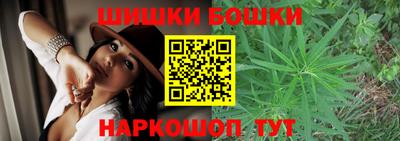 СК Новозыбков