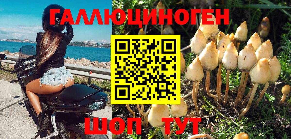Галлюциногенные грибы Magic Shrooms Ухта